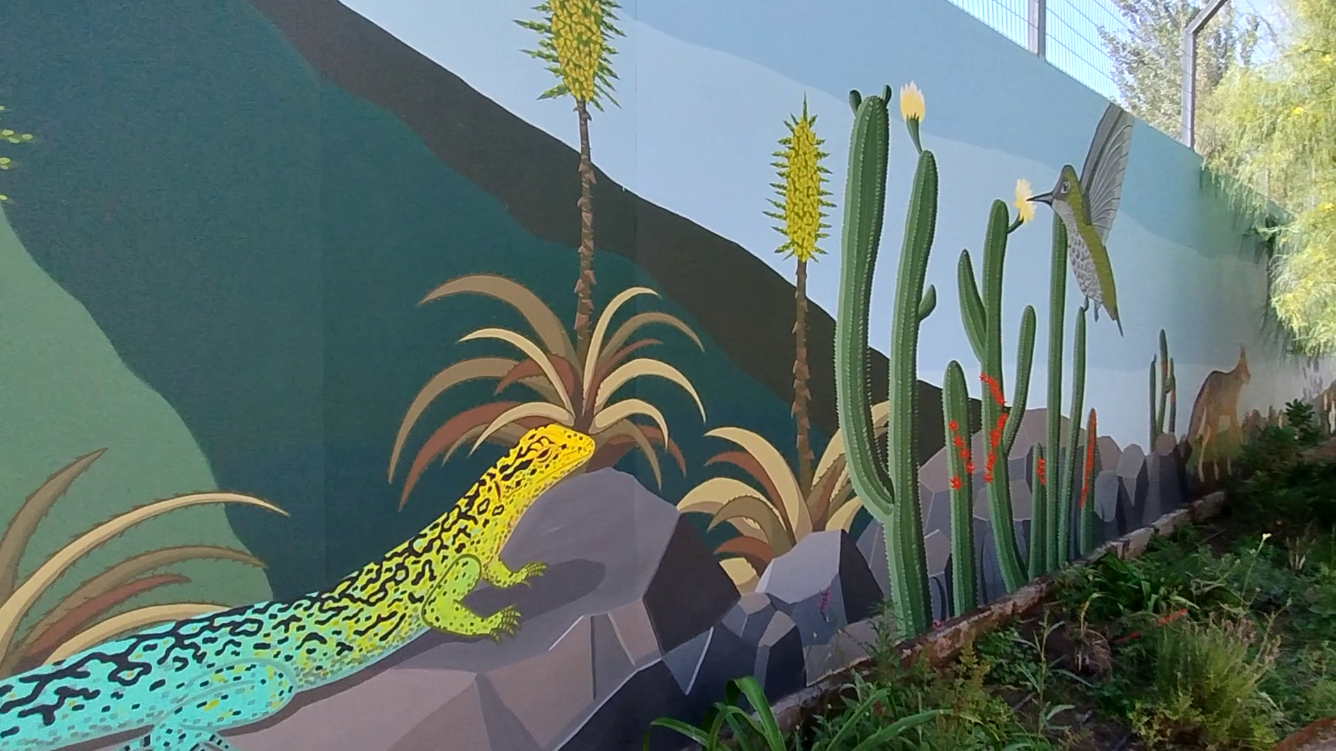 vlcsnap-2026-01-12-11h52m10s013